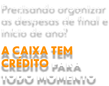 Precisando organizar as despesas de final e início de ano? A CAIXA tem crédito para todo momento.